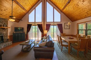 TV, fireplace, DVD player, books