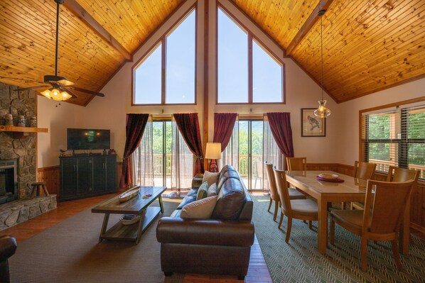 TV, fireplace, DVD player, books