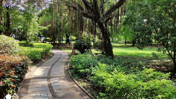 A stone pathway winding through a lush garden with dense foliage and trees. - Prdeiction Hotel (Guilin)