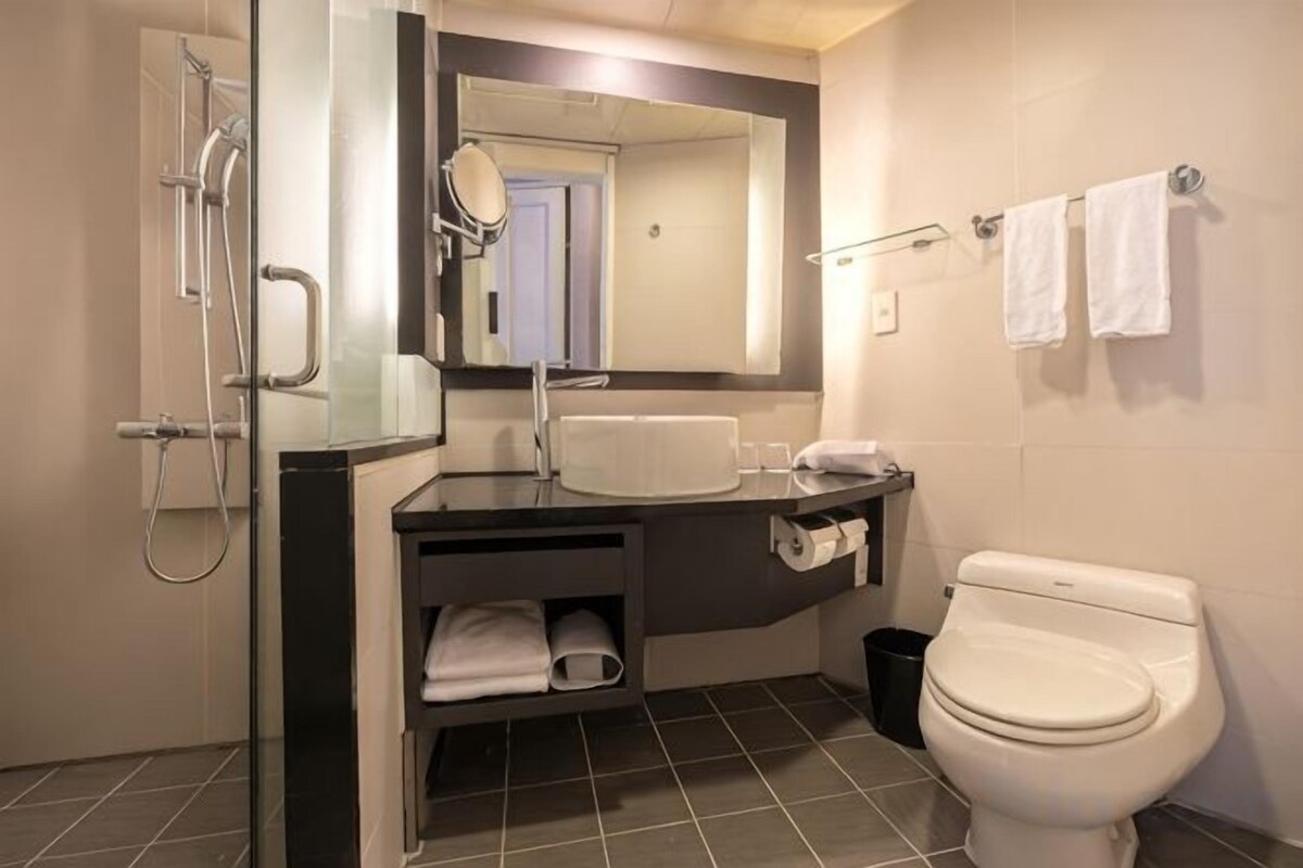 Hair dryer, towels, soap, shampoo