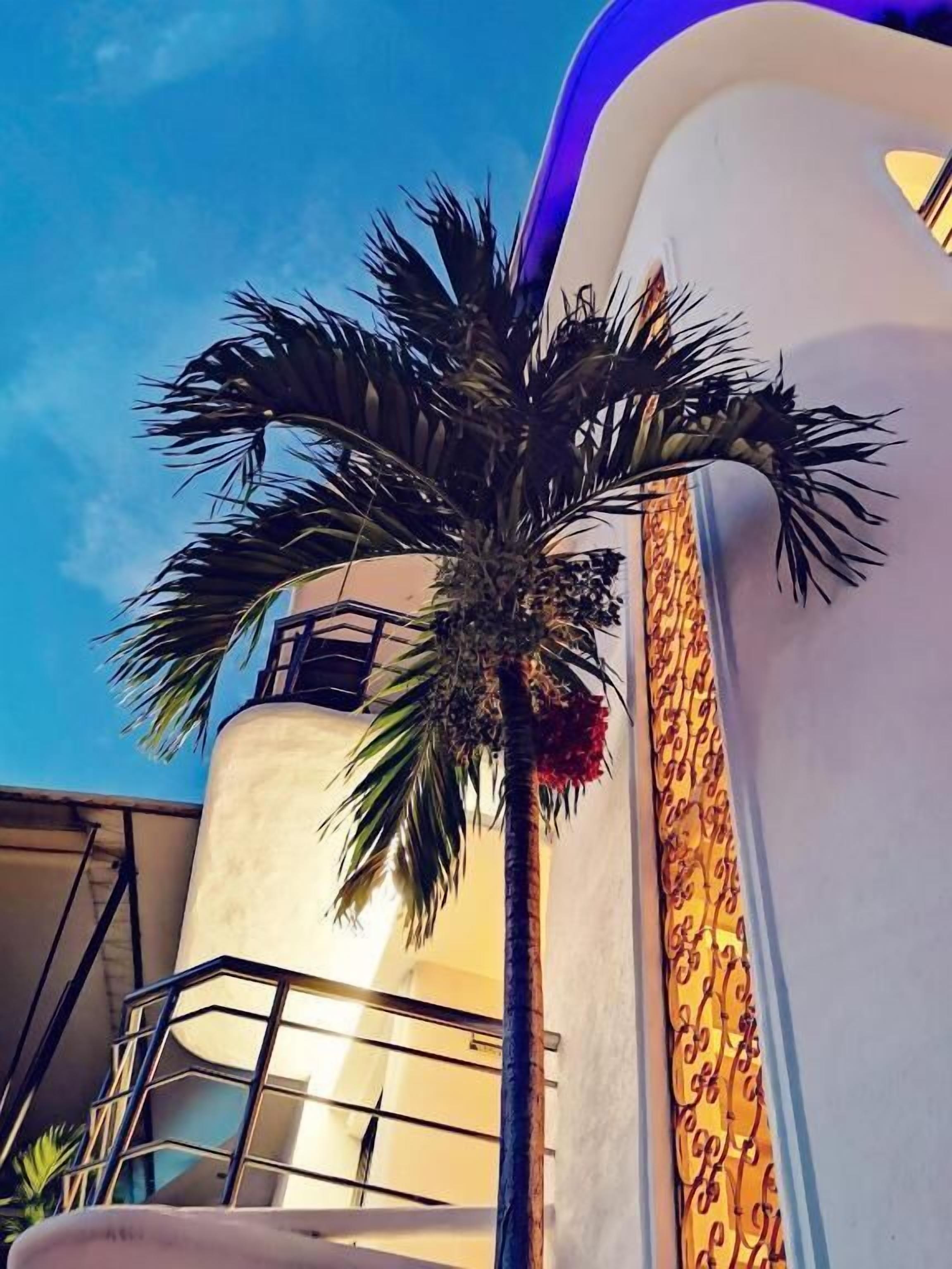 Photo - Hotel Blue Star Cancun