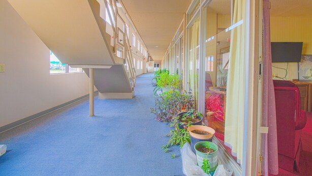 A corridor with a blue carpet, potted plants, a staircase, and a red chair. - HomeTown Inn by OYO - Liberal, KS (Liberal)