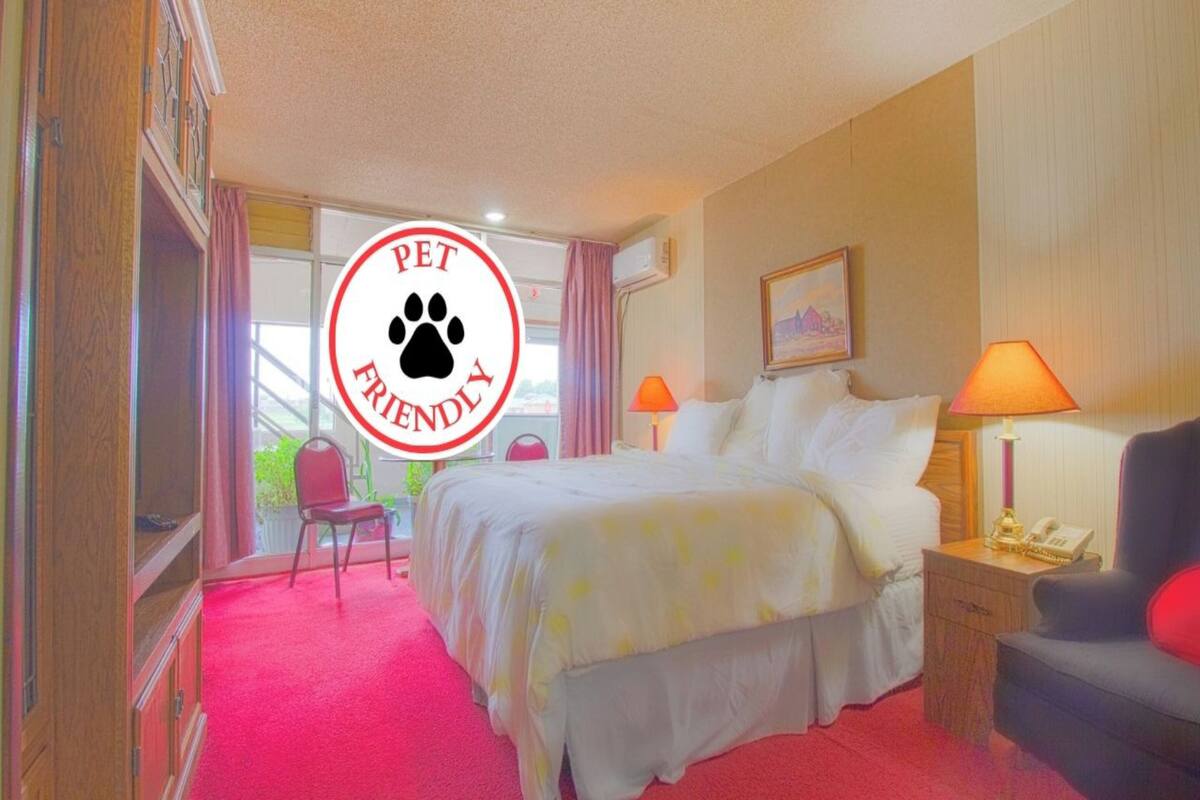 A pet-friendly hotel room with a bed, bedside lamps, a chair, and a small table.