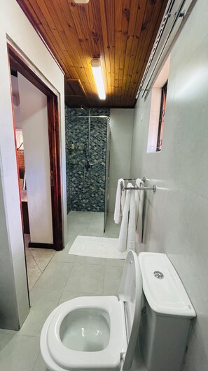 A bathroom with a toilet, a shower, and a towel rack. - Villa Caballero Luxury Chalets (Mahé Island)