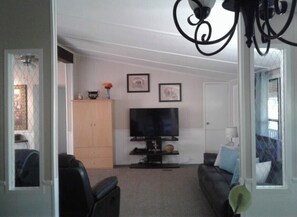 Smart TV, fireplace, DVD player, books