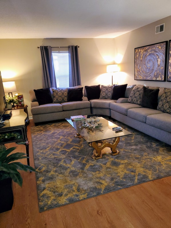 Smart TV, fireplace, books