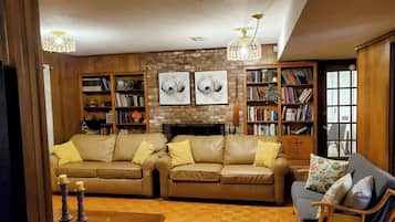 Smart TV, fireplace, books