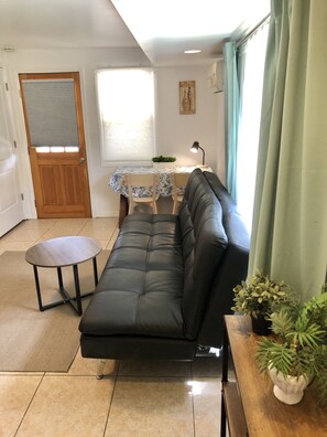 Smart TV, DVD player, books, video library