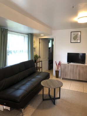 Smart TV, DVD player, books, video library