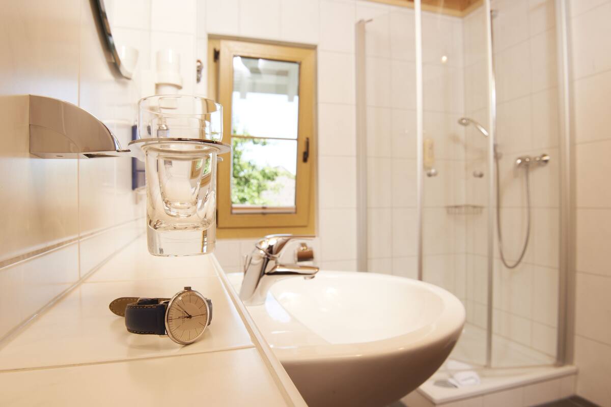 shower, free toiletries, hair dryer, towels