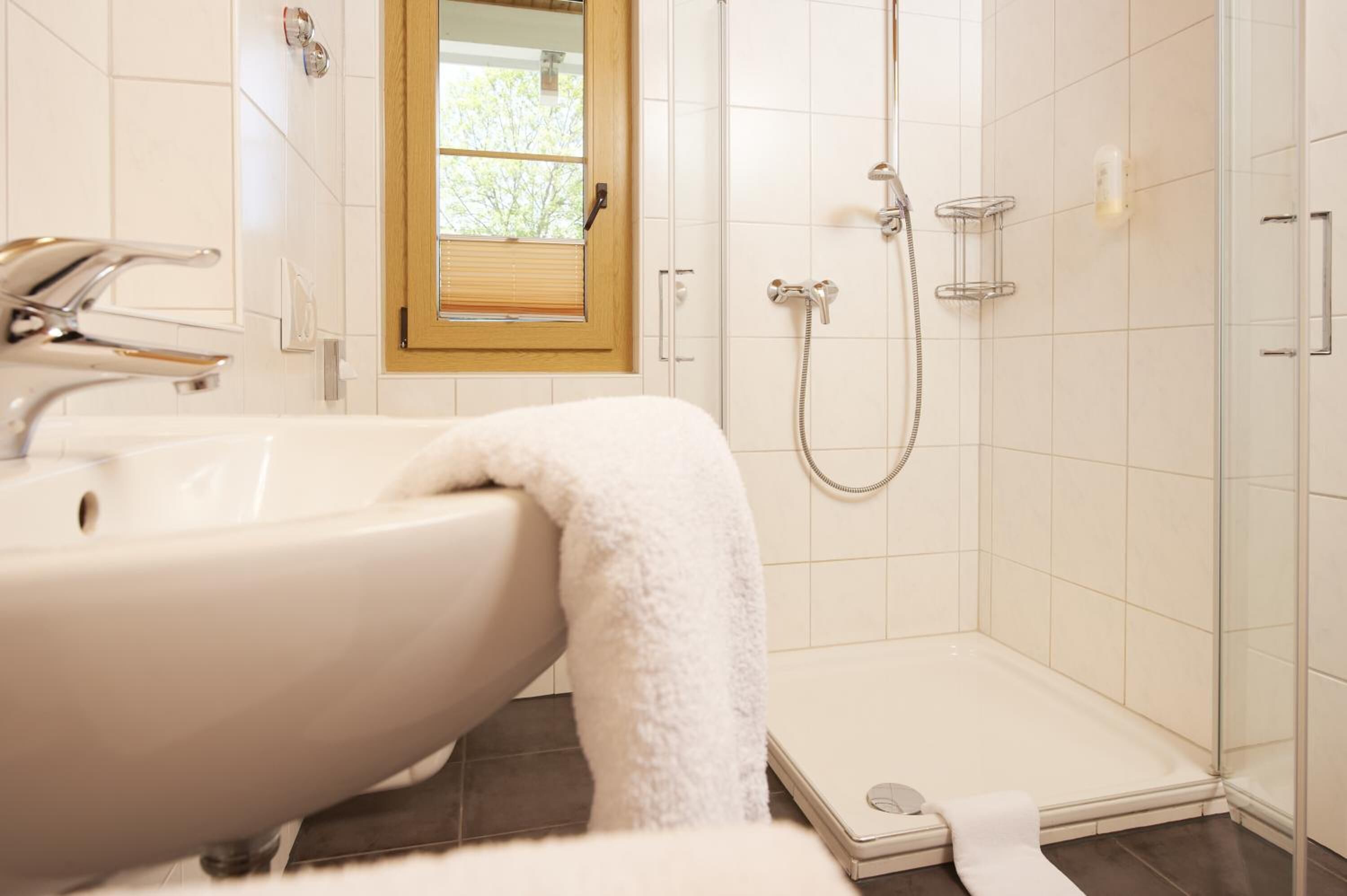 shower, free toiletries, hair dryer, towels