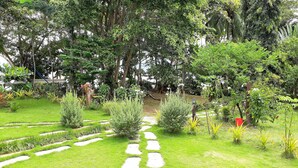 A garden with a stone pathway, various plants, and trees. - Dabdab Tourist Inn (Puerto Princesa)