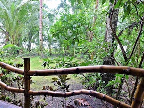 Jardí
