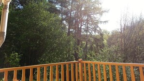 Un terrazzo in legno con vista su una fitta foresta e alberi alti.