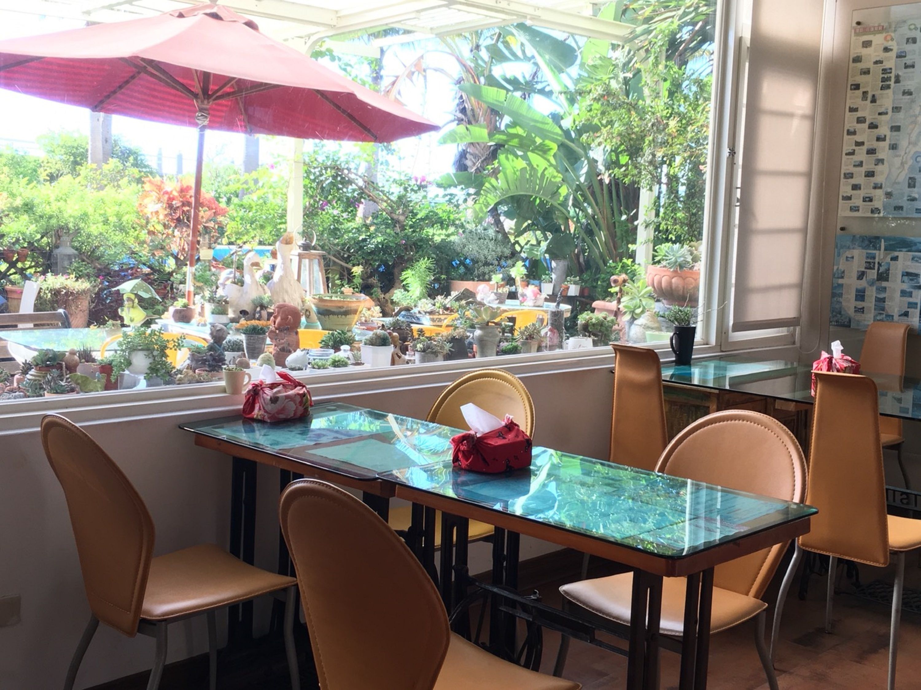 A conservatory with a glass table and chairs, surrounded by potted plants and a view of the garden.