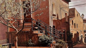 Una calle empedrada de piedra tradicional con una escalera que lleva a un edificio de fachada rústica.