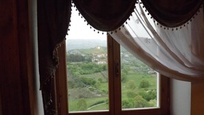 Una ventana con vistas a un paisaje verde, cortinas y un alféizar de madera.