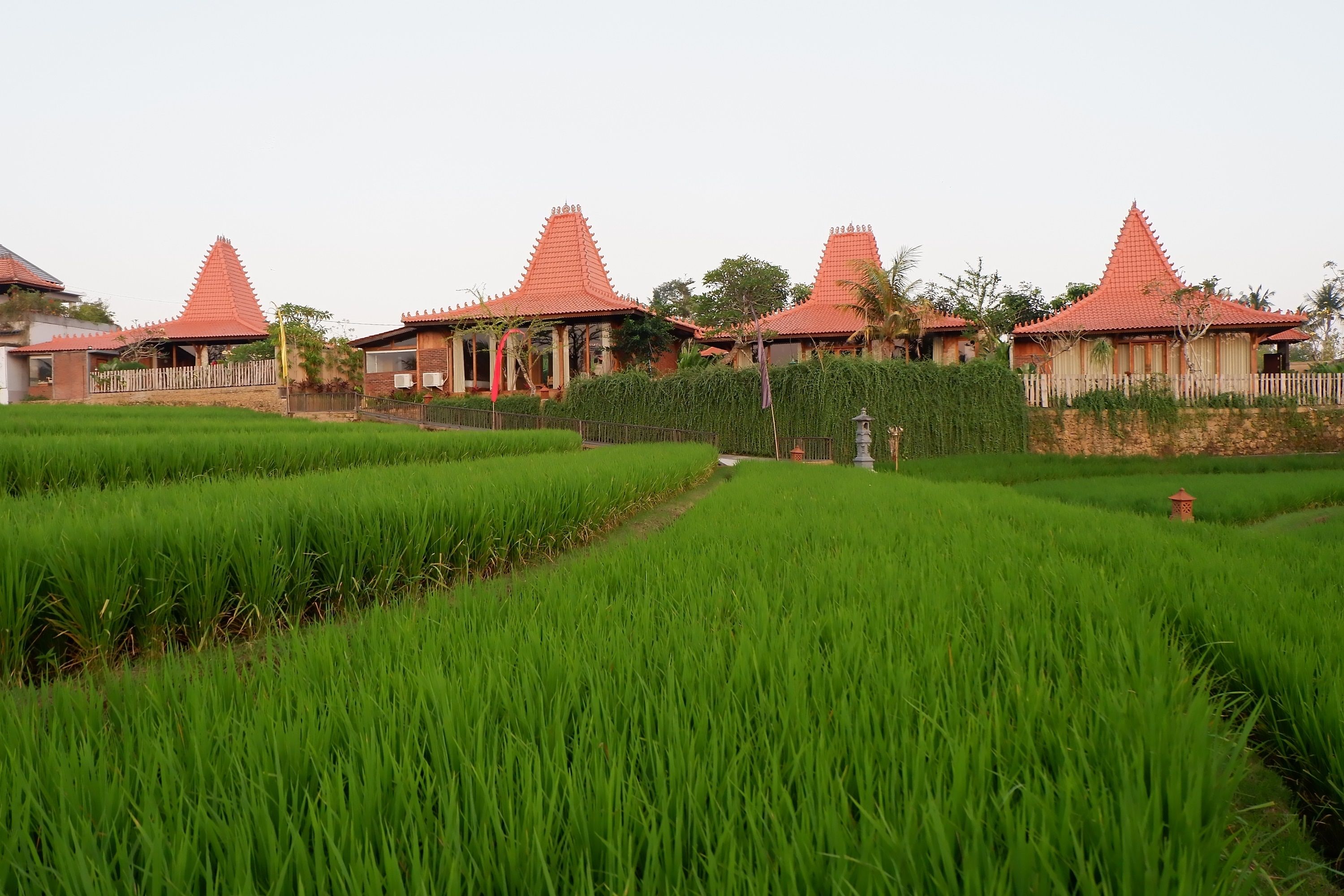 A traditional building with a red roof and a white fence in a lush green field.