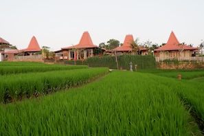 Vue depuis l’hébergement