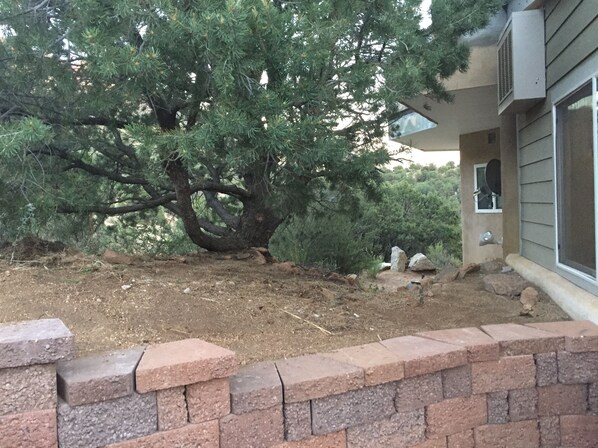 Un grand arbre se dresse devant une maison, avec un mur de briques en premier plan.