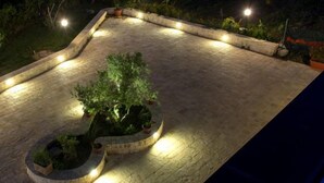 Um jardim no terraço com uma árvore central e vasos ao redor, iluminado por luzes suspensas.