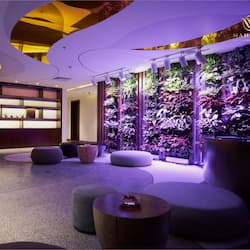 Steam room, body treatments, Swedish massages, Thai massages, facials