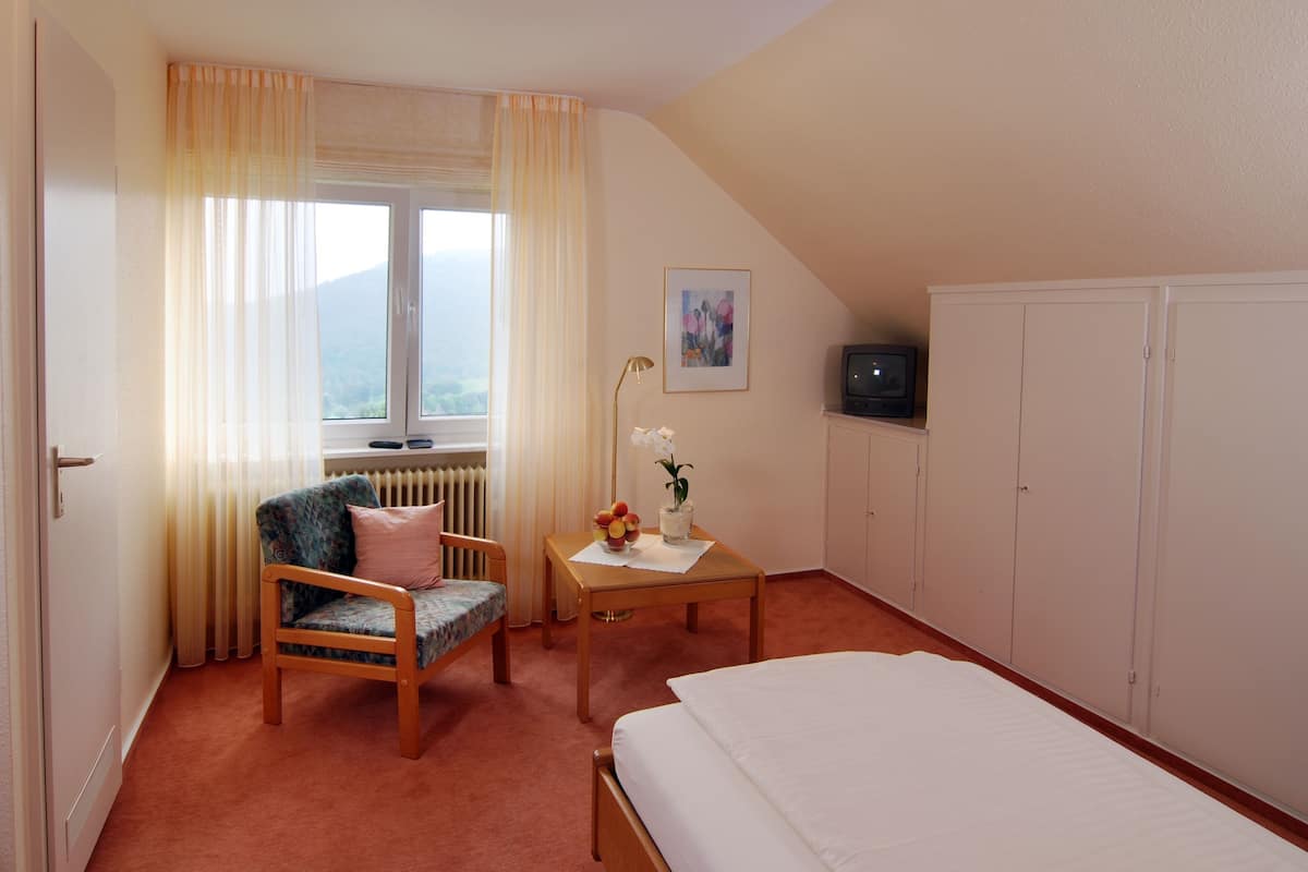 A hotel room with a bed, a chair, a table with a vase of flowers, a radiator, a window with curtains, a painting on the wall, and a TV on a cabinet.