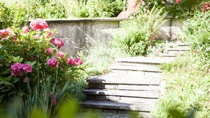 A stone staircase leading up to a garden area with pink flowers and greenery. - Hotel Morgensonne (Badenweiler)