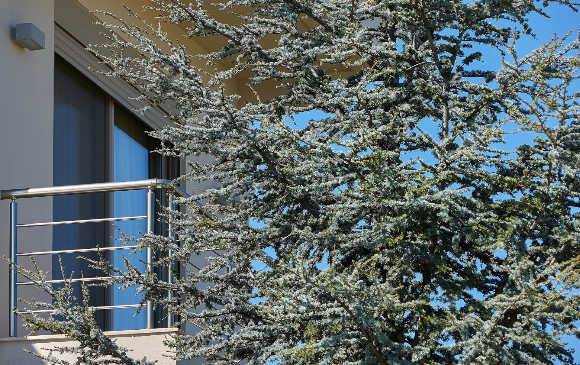 A building with a balcony and a large evergreen tree in front.