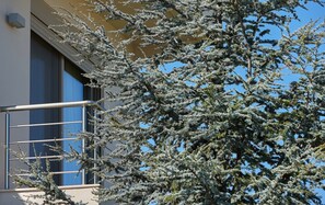 Villa, 3 chambres, piscine privée | Balcon