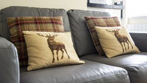 A grey leather sofa with two plaid pillows and two animal-themed pillows. - Stunning Studio Apartment Castle View (Edinburgh)
