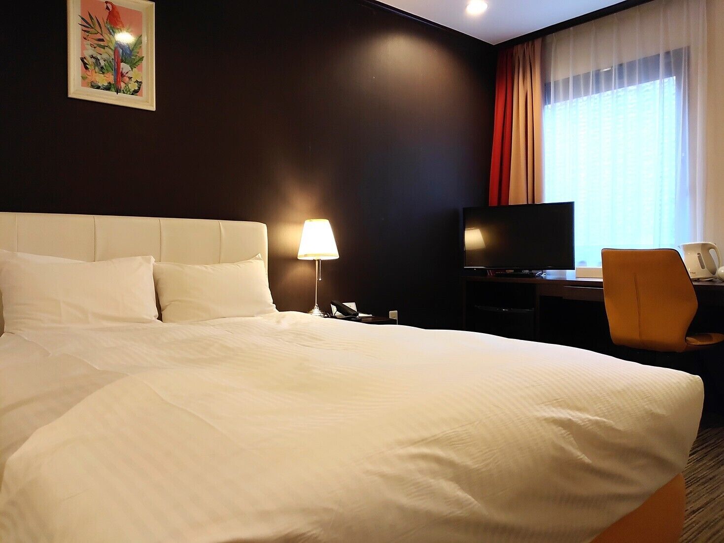 Cortinas blackout, Wi-Fi de cortesia