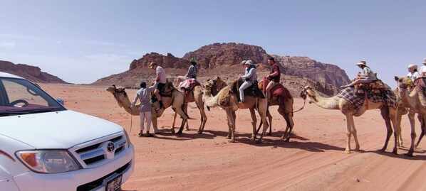 A group of people riding camels in a desert with a white car parked nearby. - Magic Bedouin Star - Campsite (Wadi Rum)