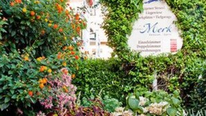 Un jardín con diversas plantas y flores, un edificio con un letrero y un cielo despejado.