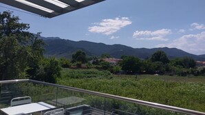 Un balcón con barandilla de vidrio que da a viñedos y montañas.