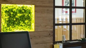 A reception desk with a wooden wall and a window. - Hotel Schneider (Lich)