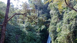 Une cascade naturelle, entourée d’une végétation luxuriante, avec un escalier en pierre menant à une plateforme d’observation.