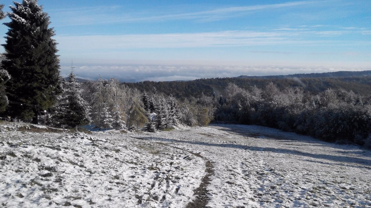 Un paysage enneigé sous un ciel dégagé, un sentier qui traverse une forêt et des collines lointaines.
