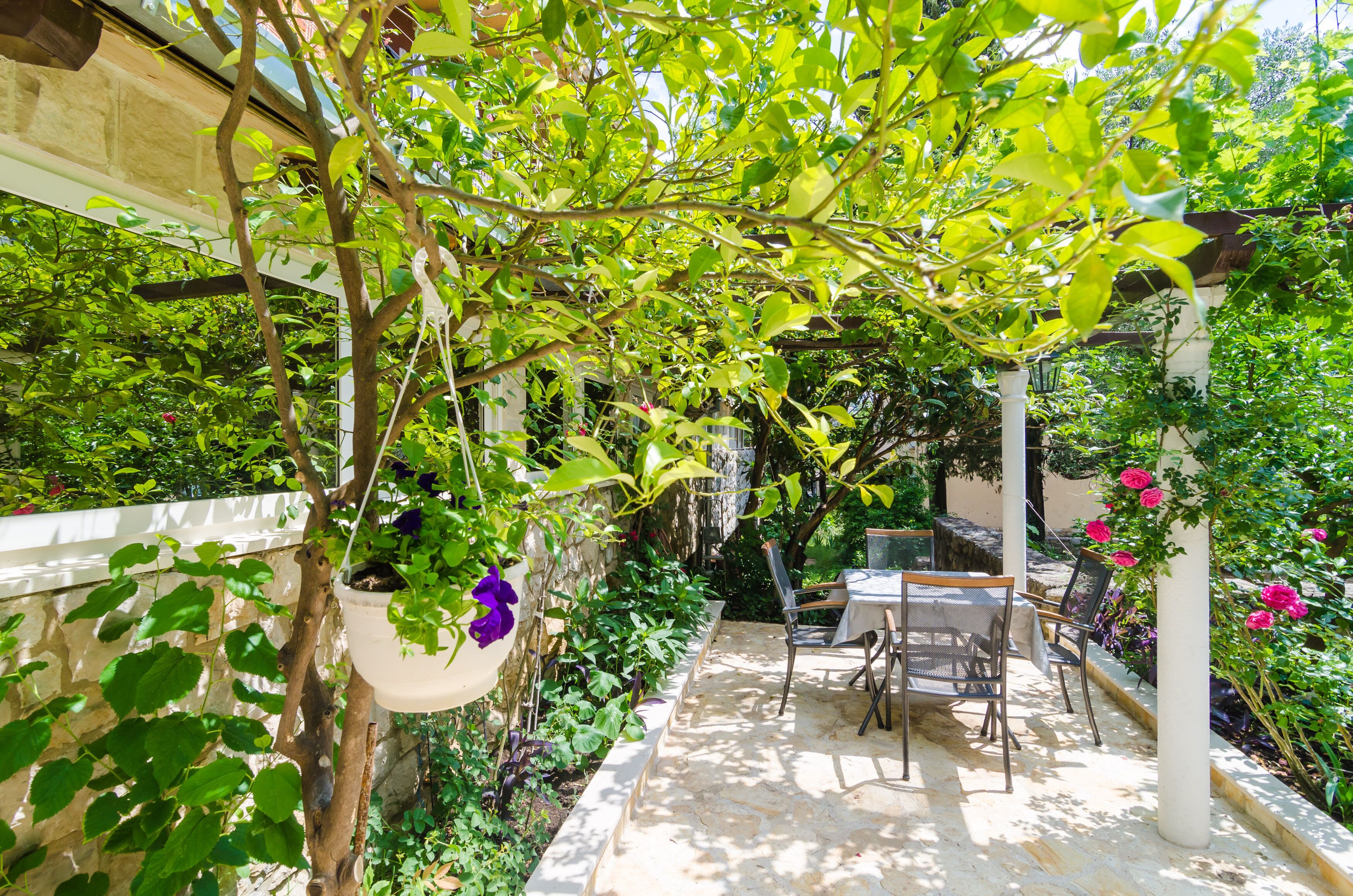 A covered patio area with a table and chairs, surrounded by lush greenery and potted plants.