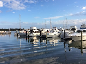 Marina