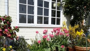 A wooden deck with potted plants and flowers, including pink tulips and yellow flowers, in front of a white building with a window. - The Mews Cottage (Salisbury)
