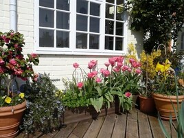 Una terraza de madera con macetas y flores, entre ellas tulipanes rosados y flores amarillas, frente a un edificio blanco con una ventana.