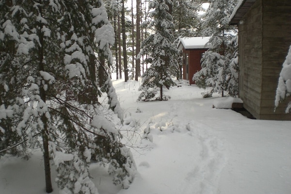 Winter wonderland