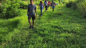 Un groupe de personnes se promène sur un sentier bordé d’herbe, entouré d’une végétation luxuriante et de palmiers.