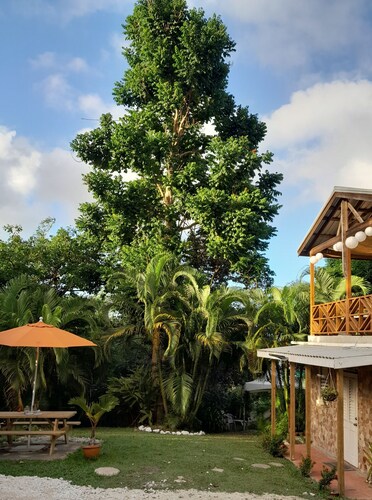 RelaxingNatureRetreat/Super Quiet Space in Natural Tropical Forest/A realGetaway