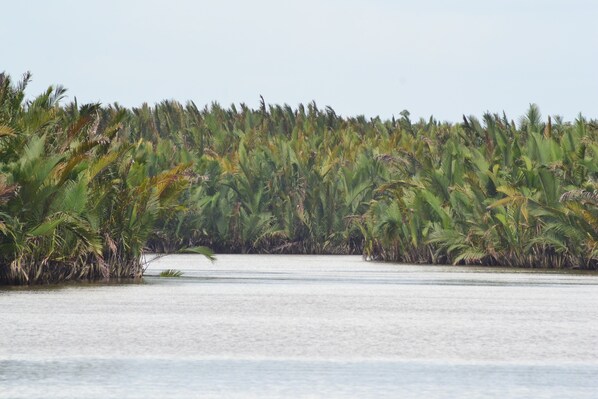 Nicht klassifiziertes Bild, 1 von 27, Schaltfläche