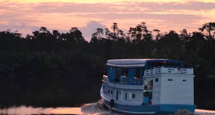 Houseboat Kelotok Orangutan River Safari