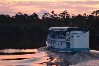 Houseboat Kelotok Orangutan River Safari
