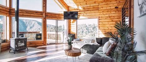 Smart TV, fireplace, books