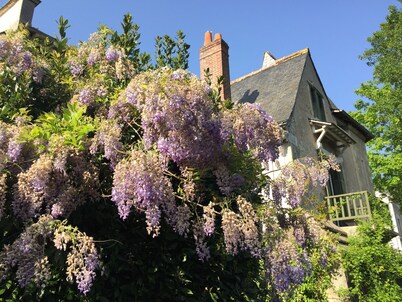 Loire Valley Medieval Getaway